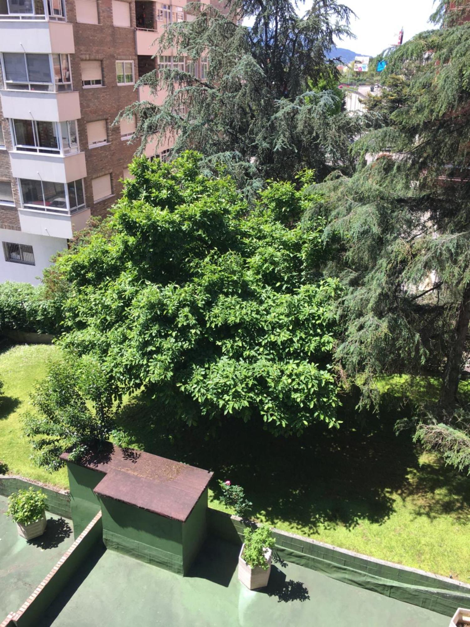 Ferienwohnung Gaivota Amplio Y Luminoso Con Plaza De Garaje Vigo Exterior foto